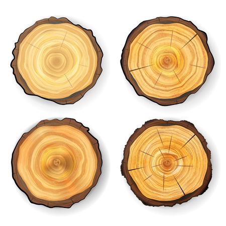 Cross Section Tree Set Wooden Stump Vector. Circles Texture Isolated. Tree Round Cut With Annual Ringsのイラスト素材