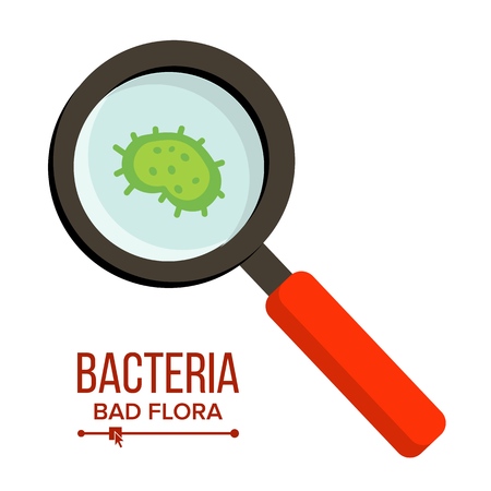 Magnifier And Germs Vector. Bacteria Sign Through Magnifying Glass. Microbes. Hygiene, Public Health, Disease Risk Concept. Isolated Flat Illustrationのイラスト素材