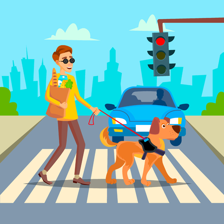 Blind Person And Guide Dog On Crosswalkのイラスト素材