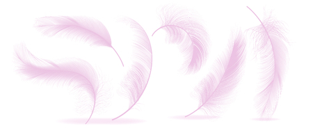 Pink Feathers Set Vector. Different Falling Fluffy Twirled Feathers. Healthy Sleep, Dreams. Isolated Illustrationのイラスト素材