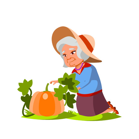 Asian Woman Vector. Elderly People. Senior Person. Aged. Active Grandparent. Isolated Cartoon Illustrationのイラスト素材