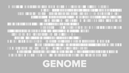 Horizontal Big Genomic Data Visualization Vector. Dna Test, Barcoding, Genomic Map Architecture. Medical Chromosome Analysis Graphic Bioinformatic Diagram Monochrome Template Flat Illustrationのイラスト素材