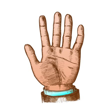 Male Hand Make Gesture Five Fingers Up Vector. Businessman Demonstrate Gesture Sign Amount. Man Open Palm Gesturing Counting Number Signal Color Hand Drawn Closeup Illustrationのイラスト素材