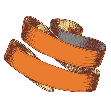 Elegance Decoration Element Ribbon Doodle Vector. Designed in Retro Style Blank Swirl Ribbon. Ornamental Creative Tag Element Of Festive Poster Postcard Color Layout Illustrationのイラスト素材