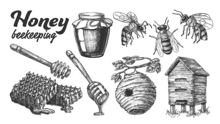 Collection Honey Beekeeping Apiary Set . Glass Bottle And Slice Honeycomb, Wooden Hive And Wild On Branch Beehive House, Honey Dipping Stick And Bee. Monochrome Designed Cartoon Illustrationの写真素材