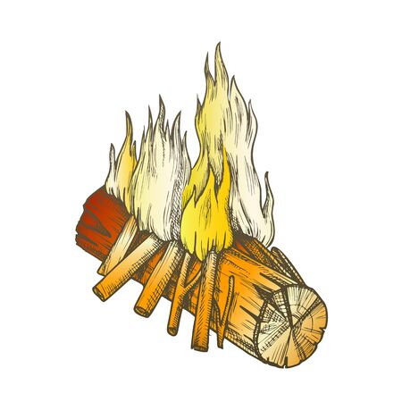 Traditional Burning Wooden Stick Color Vector. Burning Timber And Little Branches Bonfire Flame. Camping Tourist Element Designed In Vintage Style Illustrationのイラスト素材