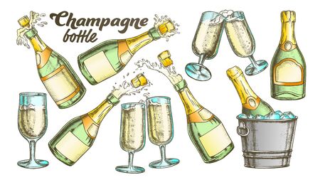 Champagne Bottle And Glass Color Set Vector. Collection Of Sparkling Winery Alcoholic Champagne And Glassware. Beverage Engraving Template Designed In Vintage Style Illustrationsのイラスト素材