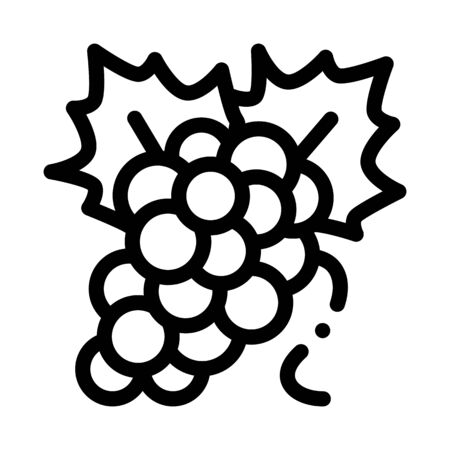 bunch of grapes icon vector. bunch of grapes sign. isolated contour symbol illustrationのイラスト素材