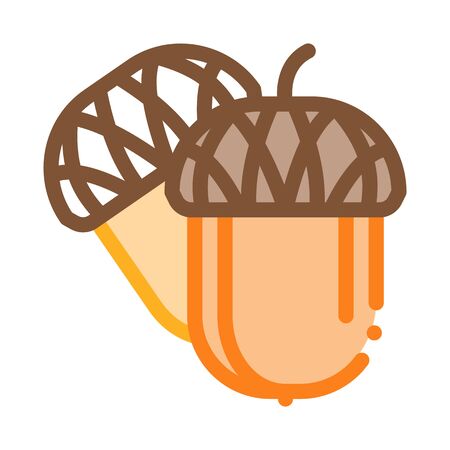 acorn nut icon vector. acorn nut sign. color symbol illustrationのイラスト素材