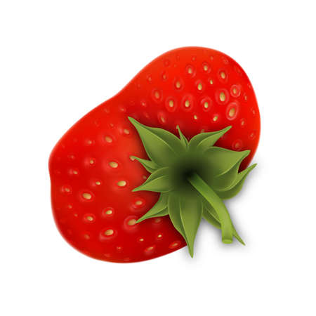 Strawberry Fruit With Green Leaves Top View Vector. Aromatic And Delicious Ripe Strawberry Snack. Fresh Healthy Dietetic Vegetarian Nature Dessert Berry Template Realistic 3d Illustrationのイラスト素材