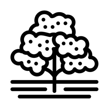 coffee tree icon vector. coffee tree sign. isolated contour symbol illustrationのイラスト素材