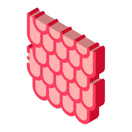 shingles roof icon vector. isometric shingles roof sign. color isolated symbol illustrationのイラスト素材