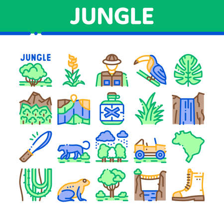 Jungle Tropical Forest Collection Icons Set Vector. Jungle Tree And Animal, Waterfall And Wood, Flower And Bush, Boot And Car Concept Linear Pictograms. Color Illustrationsのイラスト素材