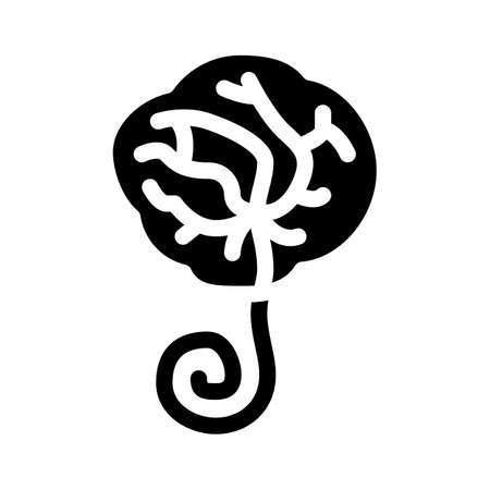 placenta human glyph icon vector. placenta human sign. isolated symbol illustrationのイラスト素材