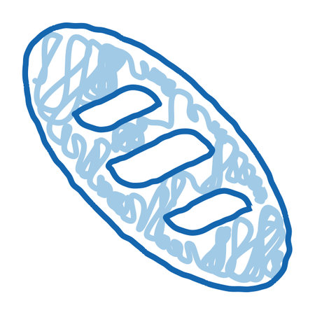 Bread Long Loaf Baked Food sketch icon vector. Hand drawn blue doodle line art Nutritious Organic Bio Crust Bread sign. isolated symbol illustrationのイラスト素材