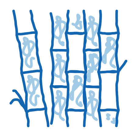 bamboo stalks sketch icon vector. Hand drawn blue doodle line art bamboo stalks sign. isolated symbol illustrationのイラスト素材