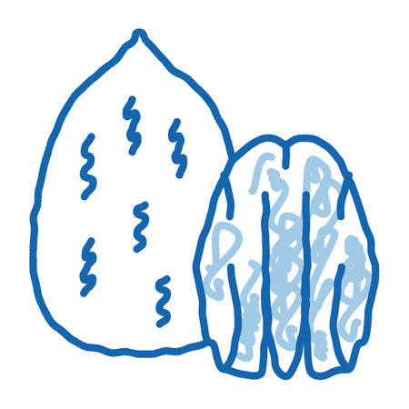 pecan nut sketch icon vector. Hand drawn blue doodle line art pecan nut sign. isolated symbol illustrationのイラスト素材