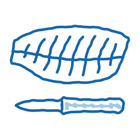 fish fillet sketch icon vector. Hand drawn blue doodle line art fish fillet sign. isolated symbol illustrationのイラスト素材
