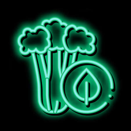 elery Plant neon light sign vector. Glowing bright icon elery Plant sign. transparent symbol illustrationのイラスト素材