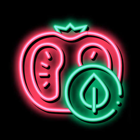 Tomato Leaf neon light sign vector. Glowing bright icon Tomato Leaf sign. transparent symbol illustrationのイラスト素材