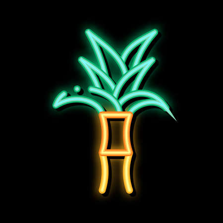 Sugar Cane Plant neon light sign vector. Glowing bright icon Sugar Cane Plant sign. transparent symbol illustrationのイラスト素材