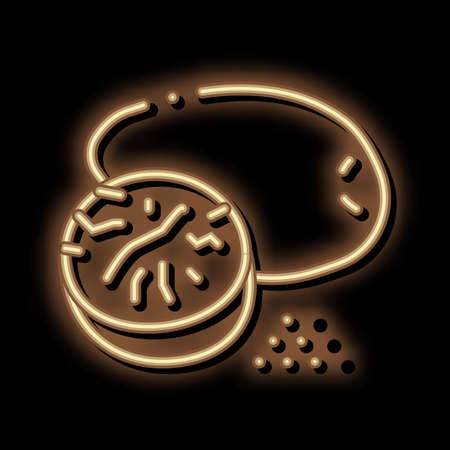 nutmeg nut neon light sign vector. Glowing bright icon nutmeg nut sign. transparent symbol illustrationのイラスト素材