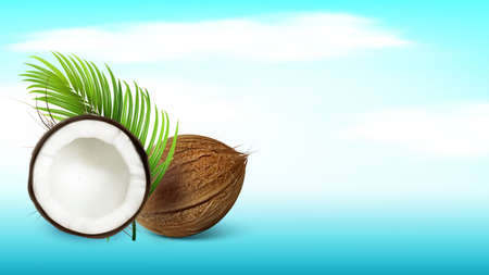 Tropical Coconut And Palm Branch Copy Space Vector. Whole And Damaged Freshness Coconut And Exotic Tree Green Leaves. Cracked Eatery Vitamin Coco Nut Template Realistic 3d Illustrationのイラスト素材