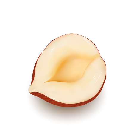 Hazelnut Nut Kernel Cut Piece Tasty Food Vector. Crashed Hazelnut Ingredient For Bake Cookies And Pie. Freshness Cobnuts Or Filberts, Hazel Fat Seed Template Realistic 3d Illustrationのイラスト素材