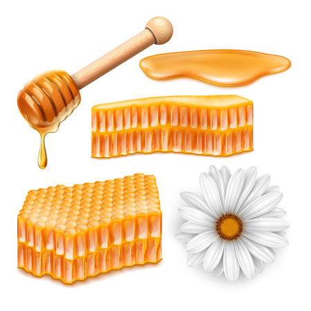 honey bee honeycomb pot. honey jar. gold beeswax. food product. drop liquid. realistic honey drip. syrup orange. yellow pure natural propolis. cute dessert. 3d realistic vectorのイラスト素材