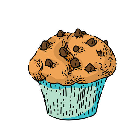 muffin sketch hand drawn vector chocolate breakfast, deliciuos dessert, vanilla snack vintage color...