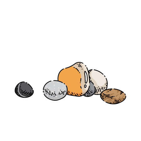 pebble sketch hand drawn vector rock stone, beach river round sand, ovalのイラスト素材