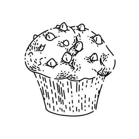 muffin sketch hand drawn vector chocolate breakfast, deliciuos dessert, vanilla snack vintage black line illustrationのイラスト素材