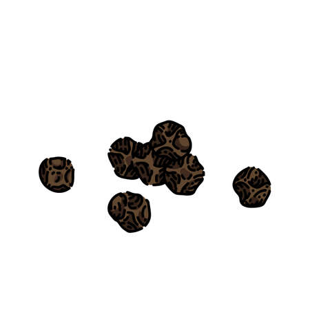 black pepper grain sketch hand drawn vector whole seed, condiment pile, hot corn vintage color line illustrationのイラスト素材