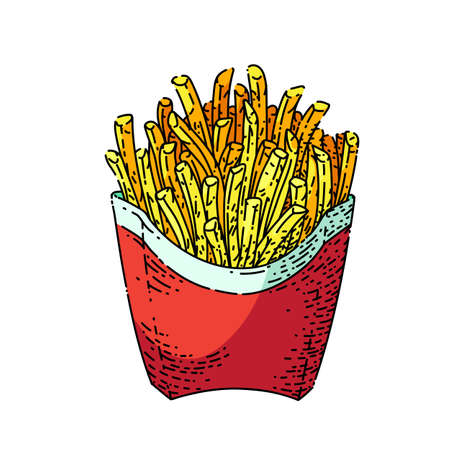 french fries box hand drawn vector. red package, fast food salt menu french fries box sketch....