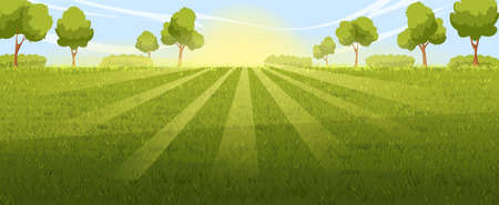 lawn background landscape vector. green field, spring grass, summer meadow, garden tree, park plant scene, sunny land lawn background nature view cartoon illustrationのイラスト素材