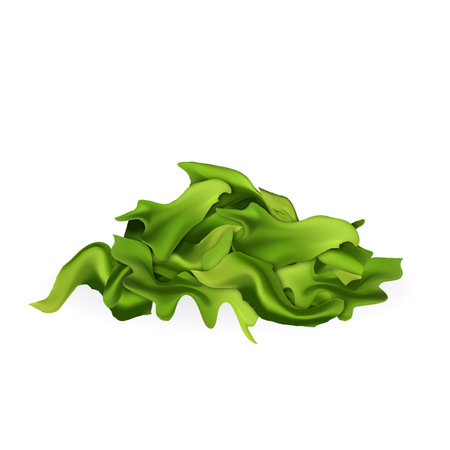 Spirulina Seaweed Leaves Food Ingredient Vector. Spirulina Sea Weed Aquaculture Plant For Preparing Delicious Vitamin Salad Dish And Natural Species. Bio Nutrition Template Realistic 3d Illustrationのイラスト素材