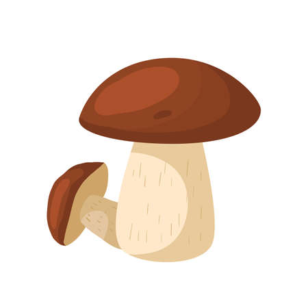 porcini mushroom cartoon vector. white forest food, vintage vegetable porcini mushroom. isolated color illustrationのイラスト素材