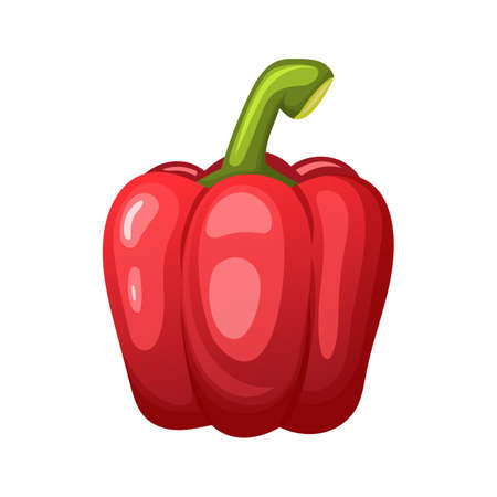 bulgarian pepper cartoon vector red yellow paprica, sweet capsicum, hot vegetable food color illustrationのイラスト素材