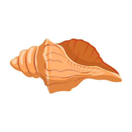 shell sea cartoon vector. marine seashell, beach snail, ocean conch, clam, water scalop shell sea. isolated color illustrationのイラスト素材