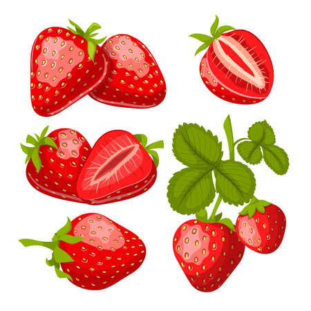 strawberry fruit set cartoon vector. fresh red berry, sweet leaf, juice summer food strawberry fruit vector illustrationのイラスト素材