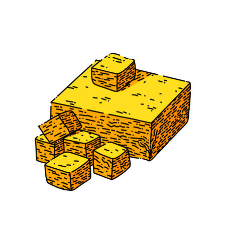 cheddar cheese hand drawn vector. yellow white slice, piece block, chink cube cheddar cheese sketch. isolated color illustrationのイラスト素材