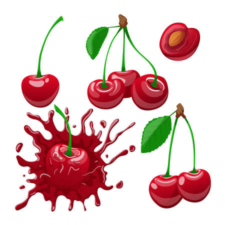 cherry red fruit set cartoon. sour berry, leaf branch, sweet fresh tree food, garden nature ripe cherry red fruit vector illustrationのイラスト素材