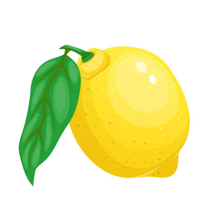 lemon fruit cut cartoon. citrus slice, fresh yellow food, green leaf lemon fruit cut vector illustrationのイラスト素材
