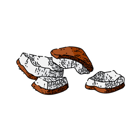 coconut white hand drawn vector. fruit milk, palm oil, half fresh, nut splash coconut white sketch. isolated color illustrationのイラスト素材