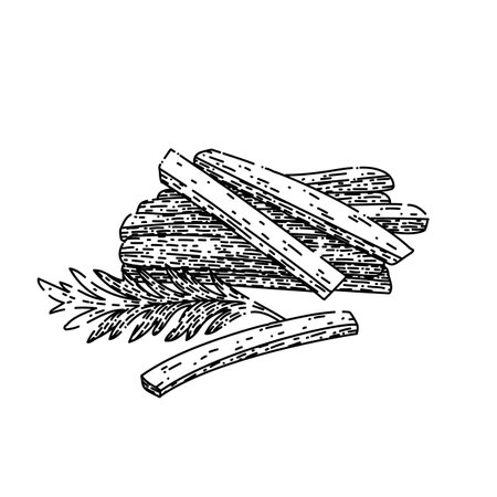 carrot cut hand drawn vector. vegetable food, orange ingredient, raw slice, healthy organic vitamin, diet carrot cut sketch. isolated color illustrationのイラスト素材