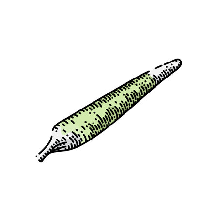 weed smoke hand drawn vector. cannabis marjihuana, joint people, cbd drug cigarette weed smoke sketch. isolated color illustrationのイラスト素材