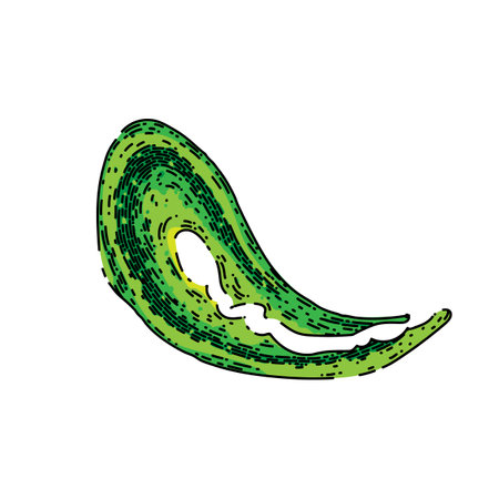 pesto sauce splash hand drawn vector. basil oil, green pecorino, pine parmesan, cheese food, olive garlic, spread, italian homemade pesto sauce splash sketch. isolated color illustrationのイラスト素材