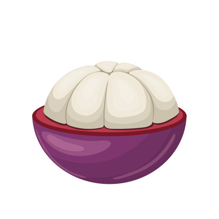 mangosteen fruit cut cartoon. organic sweet, healthy vitamin, natural nutrition, juicy purple, fresh tropical mangosteen fruit cut vector illustrationのイラスト素材