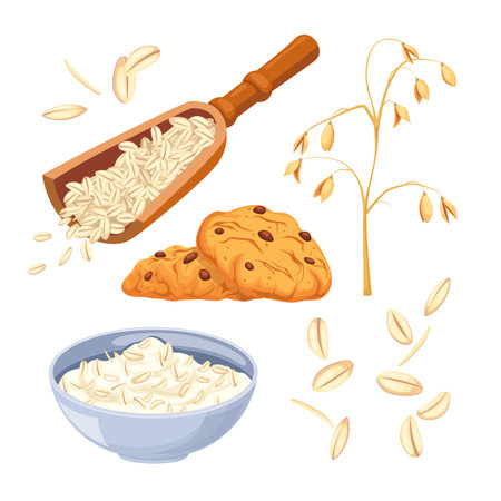 oatmeal food healthy set cartoon. breakfast cereal, oat porridge, organic bowl, diet natural, grain meal, vegetarian nutrition oatmeal food healthy vector illustrationのイラスト素材