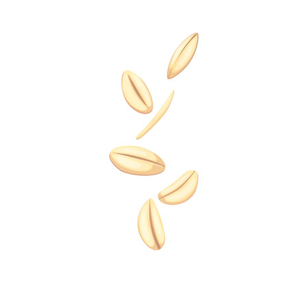oatmeal grain seed cartoon. cereal food, oat white, plant healthy, ingredient organic, crop agriculture, dry oatmeal grain seed vector illustrationのイラスト素材